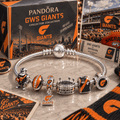 GWS Silver Charm Bracelet Set PNPA