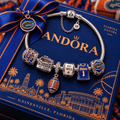 FGT Silver Charm Bracelet Set VTH