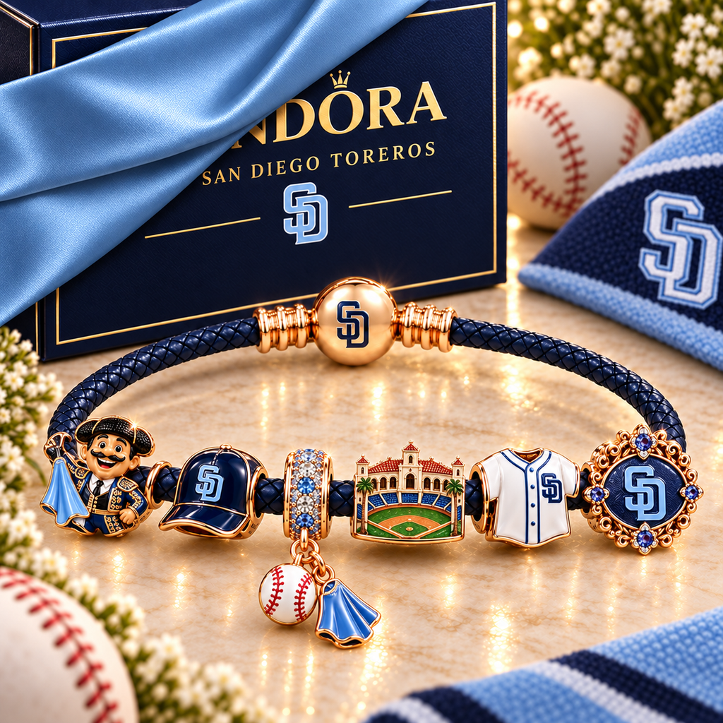 SDTB Braided Leather Cord Charm Bracelet Set NHVH